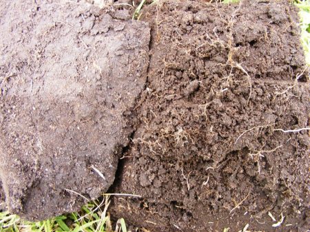 Cartref_Stanger_grassway+burned_a_LARGE